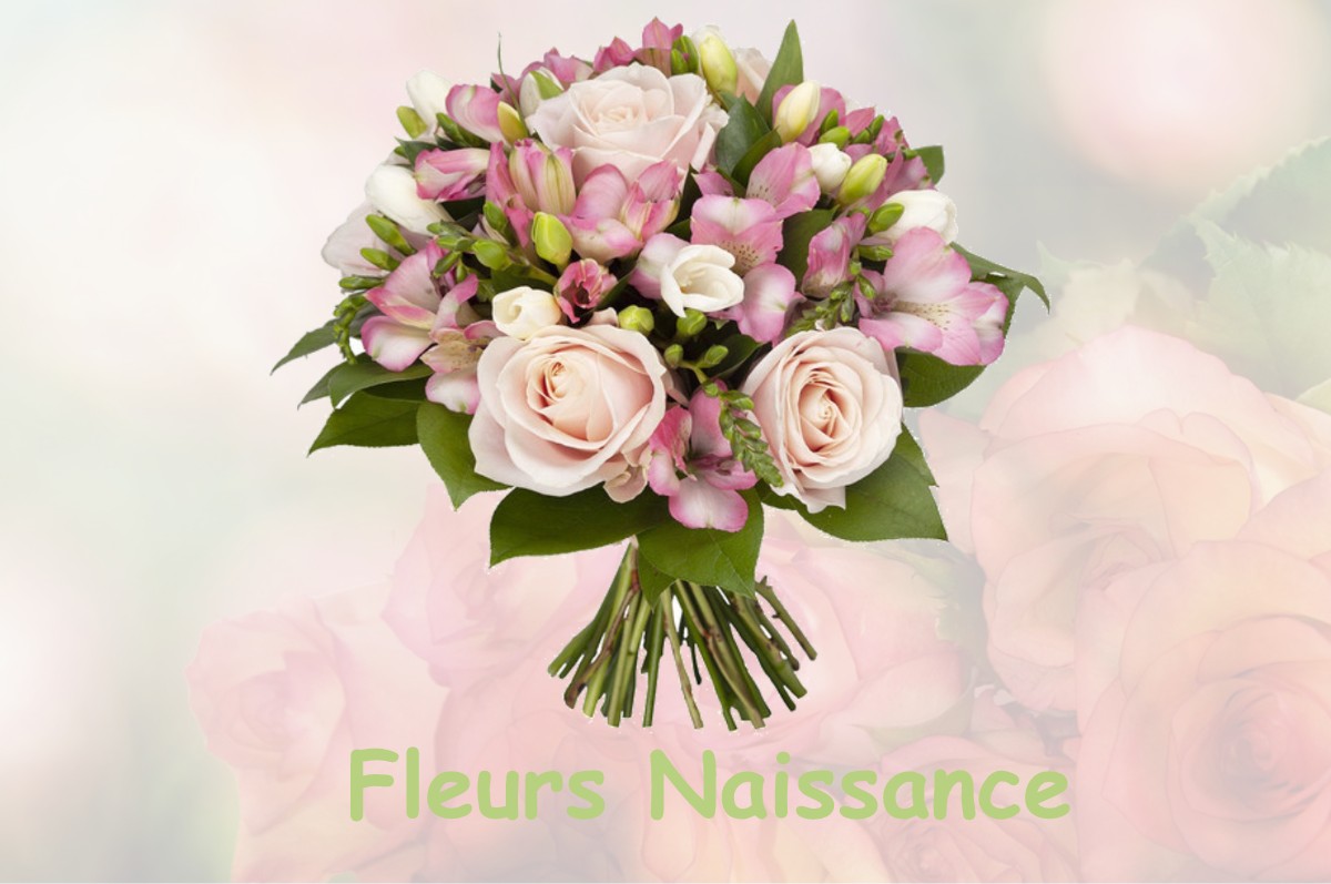 fleurs naissance ORGON