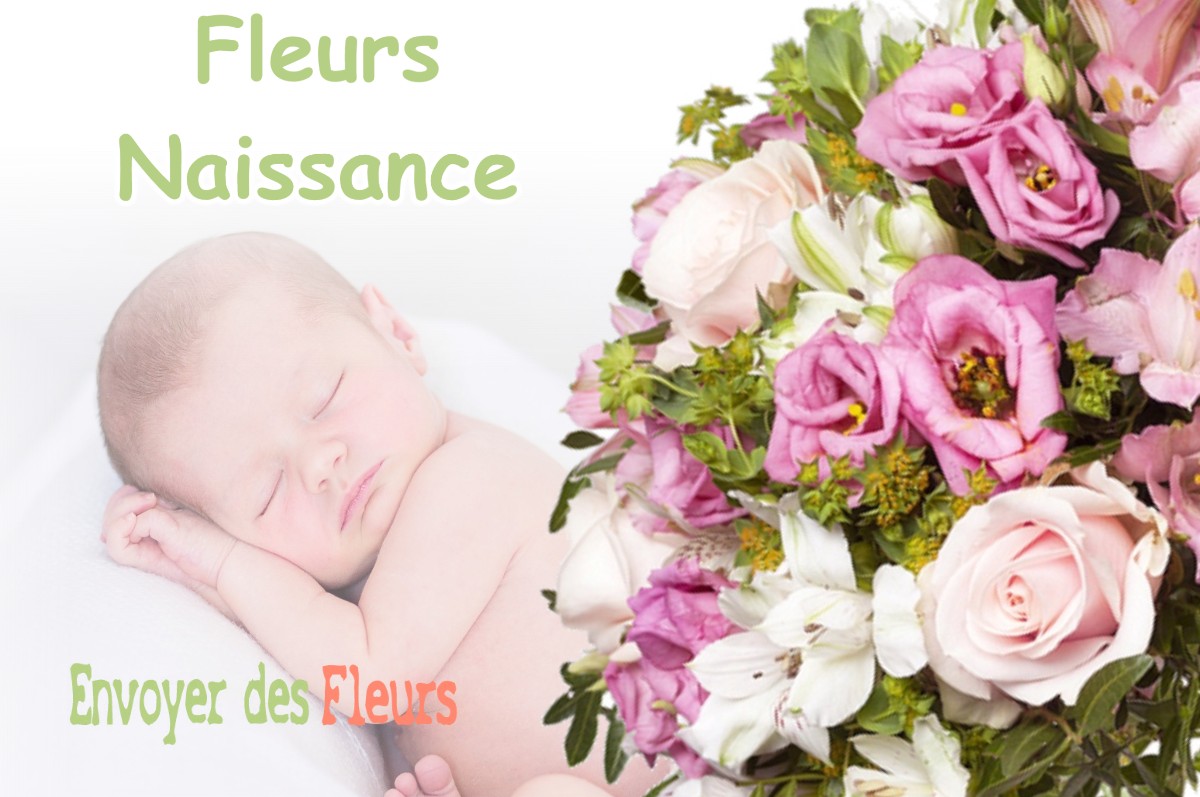 lIVRAISON FLEURS NAISSANCE à ORGON